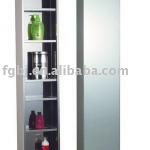 stainless steel bathroom Mirror Cabinet-MC-C2512120V