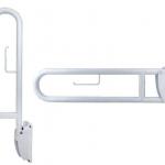disabled grab bars in bathroom-SL9802