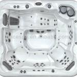 new product 101 jets Spa Hot tub