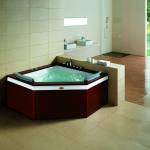 Whirlpool bathtub Twin Massage bathtub for 2 people FS-0503 ABS Material with CE/ISO/ETL