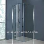 Luxury Flat Hinged Framed Glass Door-SWF1231