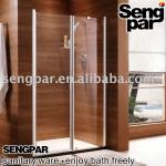 6mm frameless shower screen-SP-C110