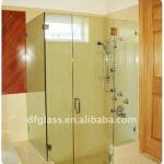 clear tempered glass shower door