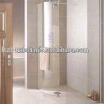 Compact and Practical Shower Door-BLG-1222