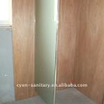 Frosted Simple shower door screen-CS7031