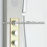 Bathroom &amp;Toilet&amp;Showroom Shower Panel-AX-237