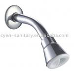 Brass Shower head-F1002