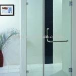 Shower Screen Door-BS108