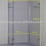 Glass Shower screen-10mm