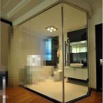 10mm Bathroom Glass Sliding Wall Partition-GB-09-28