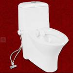 SMART bidet toilet in the world Cold water non electrical micro bidet HS-B8100