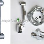 Wall Mounted S Plastic bidet shattaf shower set( A501)-1