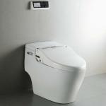 Electrical Bidet-HDB-1500R-101