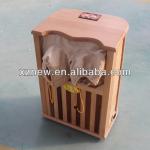 korea popular foot sauna-ZL003