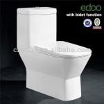Hot-sale Middle East &amp; Indian Design square toilet bowl S-trap 225mm/250mm 4 inch outlet washdown one piece toilet-5205