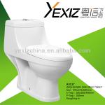 A3117 washdown sanitary ware one piece toilet-A3117