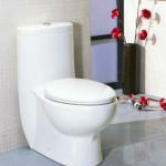 UPC toilet TB309-TB309