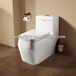 elegent design one piece square toilet-T1503