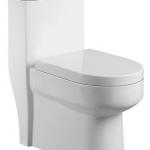 Cyclone one piece closet toilet-2087-1