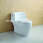 China Chaozou Dual Flush Ceramic One Piece Toilet-AT-579