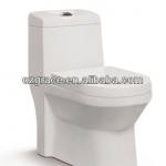 GCD2039-washdown one-piece toilet with big outlet hole dim.:100mm-GCD2039