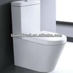 Australian Standard Washdown Two pieces toilet-CT2155