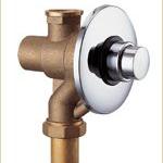 WD015 Self-closing flush valve