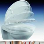 Duroplast toilet seat with soft close and quick release-ED69010