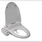 high quality shattaf bidet toilet seat-HTSD3000