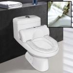 BUDY intelligent sanitary toilet seat-BD06