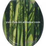 Bamboo Toilet Seat-