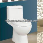 Ceramic Sanitary Ware Cheap Price One Piece Toilet Bowl-HOT-6611
