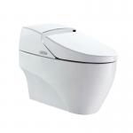 Electriccomputerized Toilet Bidet-LZ-0701