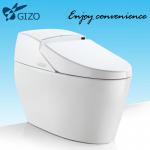 Hot Sell Fashion Design Full Automatic Toilet Bowl