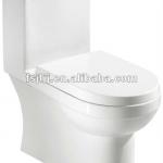 sanitary ware siphonic one-piece toilet(KL269010)-SH269010