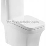 ceramic washdown one-piece toilet(KL269005)