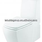 C311/S311 washdown P trap toilet-HDC311/S311