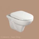 Fashionable ceramic wall mounted toilet (B122)