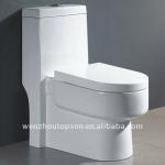 One Piece Toilet Bowls with high ceramic , Bathroom Fitting