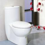 UPC toilet TB309-