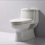 UPC toilet TB222-