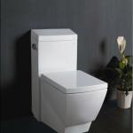 UPC toilet TB336-