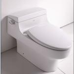 UPC toilet TB352