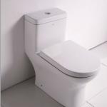 UPC toilet TB353-