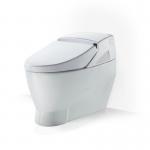 Electronic Bidet Prices with CE certificate-LZ-0702