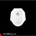 Squat toilet-TL01