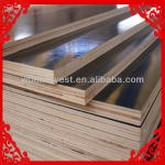 18mm black film faced plywood for construction-WH,1220x2440mm