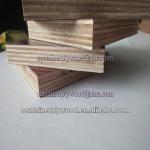 15mm phenolic film faced wood plywood/guangzhou plywood manufacturer-FW015
