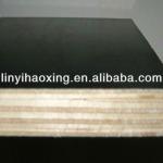 brown film faced plywood-haoxing
