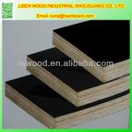 Best Film Faced Plywood Price/shuttering plywood/Marine plywood,Black film faced plywood-LSRT-011
